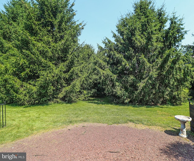 365 Charles Cir, Hellam, PA 17406 - view of green lawn