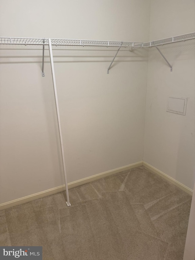 1103 S Schumaker Dr Unit C-300, Salisbury, MD 21804 - spacious closet with carpet flooring