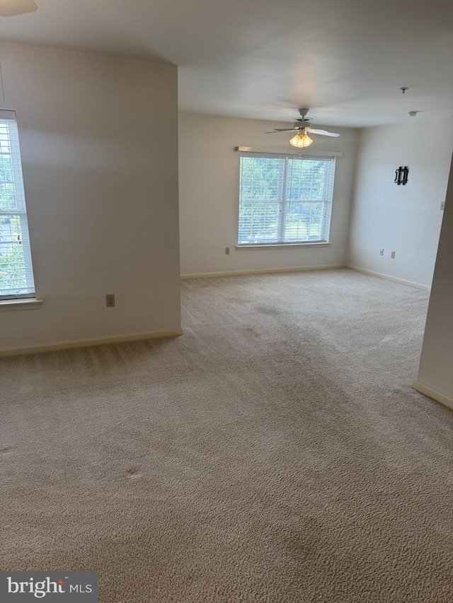 1103 S Schumaker Dr Unit C-300, Salisbury, MD 21804 - spare room featuring ceiling fan and light colored carpet