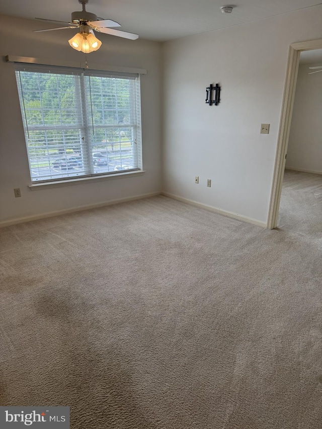 1103 S Schumaker Dr Unit C-300, Salisbury, MD 21804 - carpeted empty room with ceiling fan and baseboards