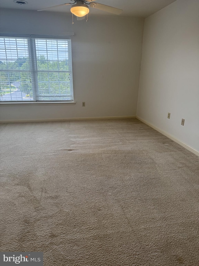 1103 S Schumaker Dr Unit C-300, Salisbury, MD 21804 - spare room featuring ceiling fan and carpet floors