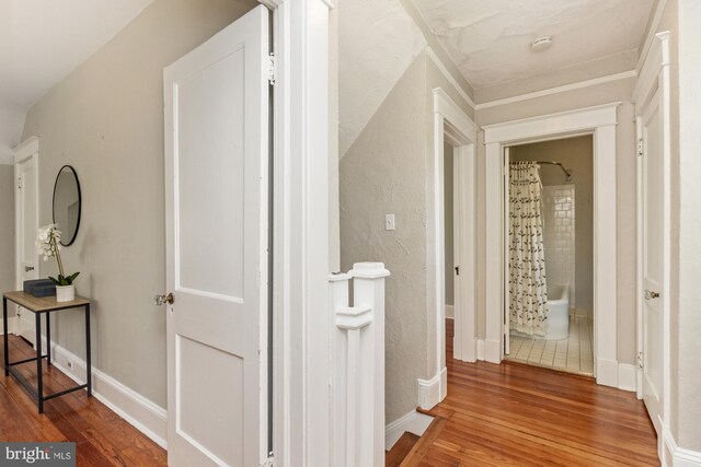 11 Florida Rd, Towson, MD 21204