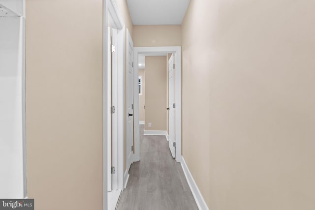 2839 N 9th St, Philadelphia, PA 19133 - hall with wood finished floors and baseboards