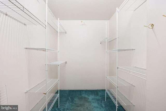 942 Paul St, Gloucester City, NJ 08030 - spacious closet featuring carpet floors