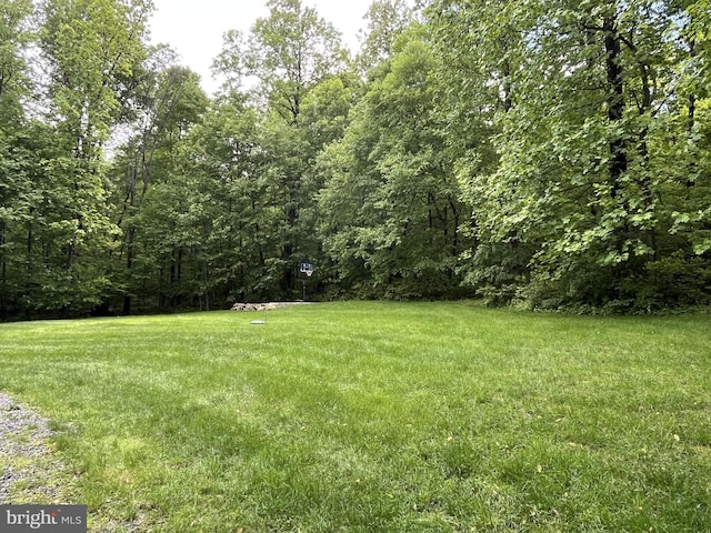 148 Five Points Rd, Mertztown, PA 19539 - view of grassy yard featuring a wooded view