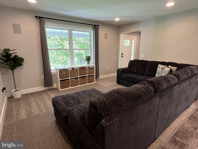 148 Five Points Rd, Mertztown, PA 19539 - carpeted living area featuring recessed lighting