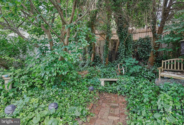 114 Walsh Rd, Lansdowne, PA 19050 - view of yard