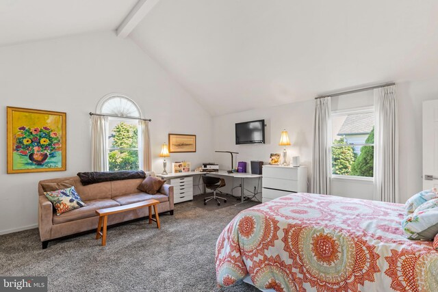 10 Strawberry Ln, Cape May, NJ 08204