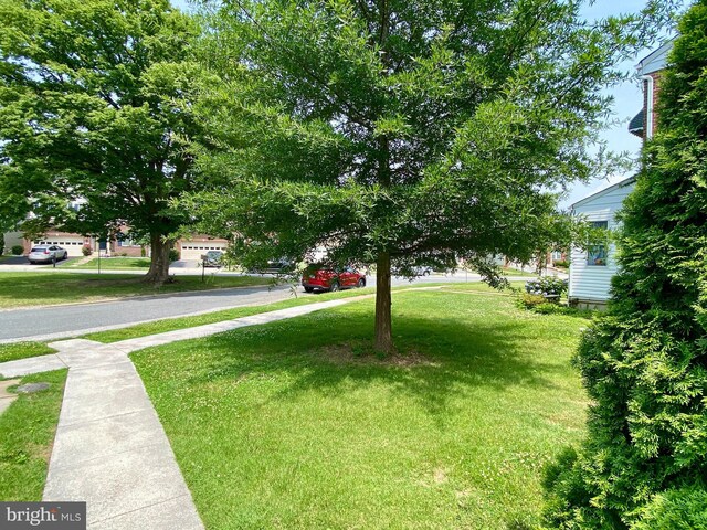 2634 Yorkway, Baltimore, MD 21222 - view of grassy yard