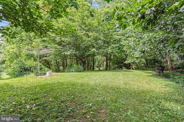 421 Old Stage Rd, Lewisberry, PA 17339 - view of yard
