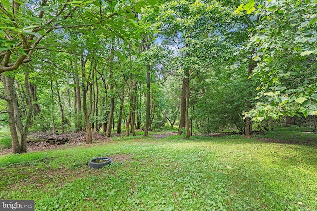 421 Old Stage Rd, Lewisberry, PA 17339 - view of green lawn