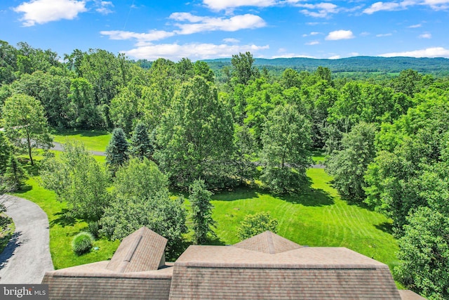 421 Old Stage Rd, Lewisberry, PA 17339 - drone / aerial view of mountains