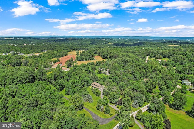 421 Old Stage Rd, Lewisberry, PA 17339 - bird's eye view of a forest