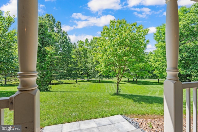 421 Old Stage Rd, Lewisberry, PA 17339 - view of grassy yard with view of wooded area