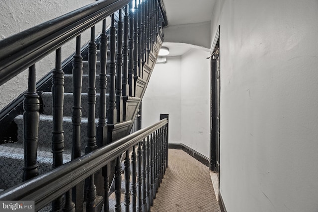 400 E Vernon Rd, Philadelphia, PA 19119 - stairway featuring baseboards and carpet floors