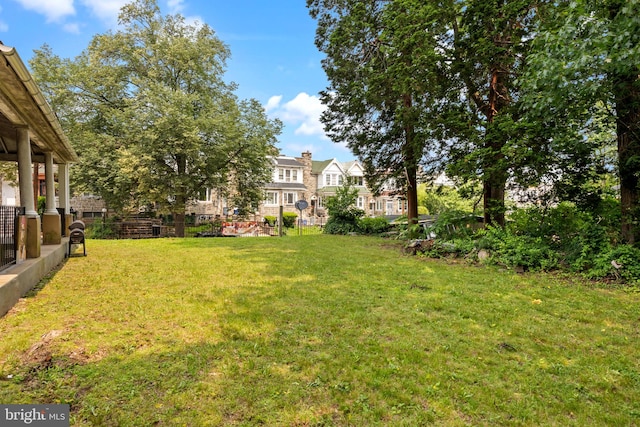 400 E Vernon Rd, Philadelphia, PA 19119 - view of yard
