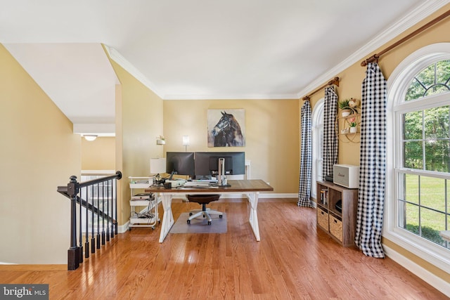 1340 Mountain View Rd, Stafford, VA 22554 - office space featuring wood finished floors and crown molding