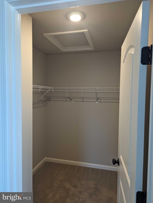 105 Fairfax Ln Unit 84, Dover, DE 19901 - walk in closet featuring attic access and dark colored carpet