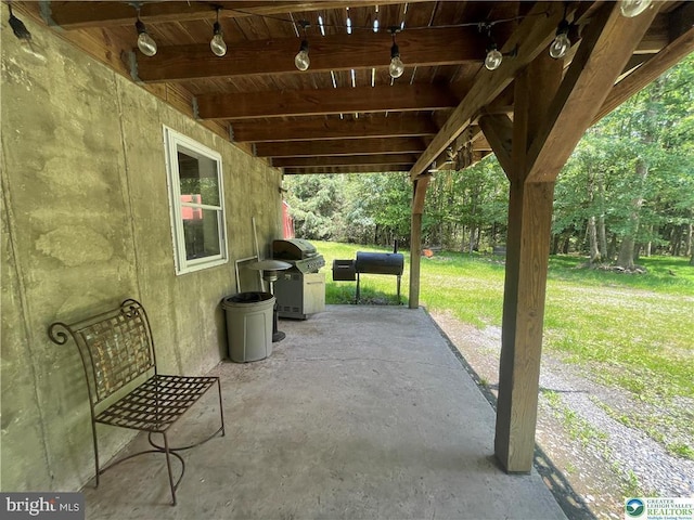161 Quail Dr, Jim Thorpe, PA 18229 - view of patio with grilling area