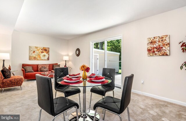 21317 Persimmon Dr, Chestertown, MD 21620 - dining space featuring light colored carpet