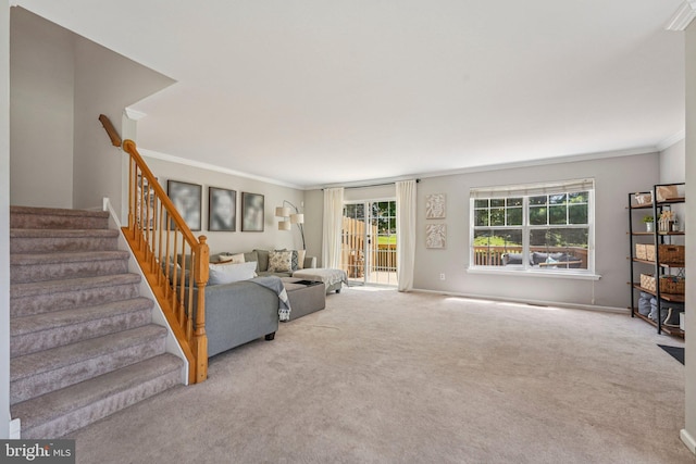 814 Amber Ln, West Chester, PA 19382 - living area with ornamental molding, carpet, and stairway