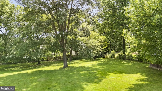 558 Skippack Pike, Blue Bell, PA 19422 - view of grassy yard