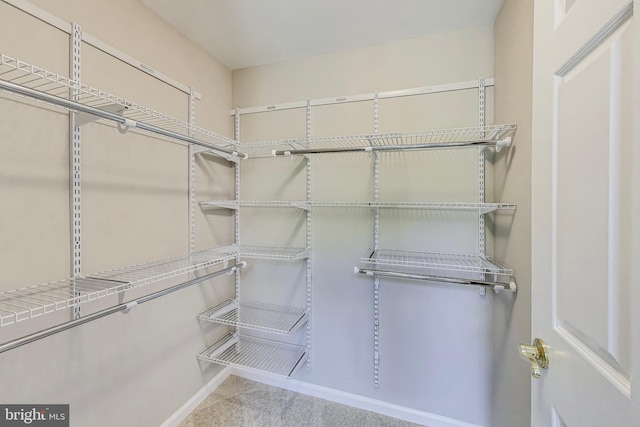 9009 Marie Ct, Lorton, VA 22079 - spacious closet with carpet floors