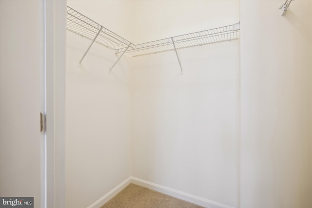 2655 Prosperity Ave Unit 100, Fairfax, VA 22031 - walk in closet with carpet floors