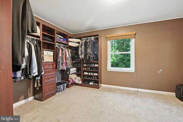 7491 Slagle Ln, Manassas, VA 20111 - walk in closet with carpet