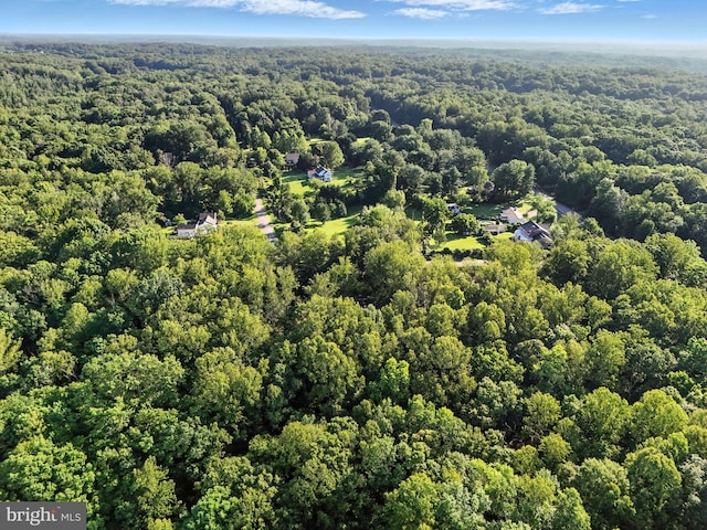 7491 Slagle Ln, Manassas, VA 20111 - drone / aerial view of a forest