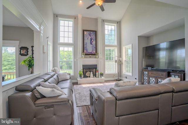 14 Stanley Dr, Monroe Township, NJ 08831 - living area featuring high vaulted ceiling, a ceiling fan, plenty of natural light, dark wood finished floors, and a large fireplace