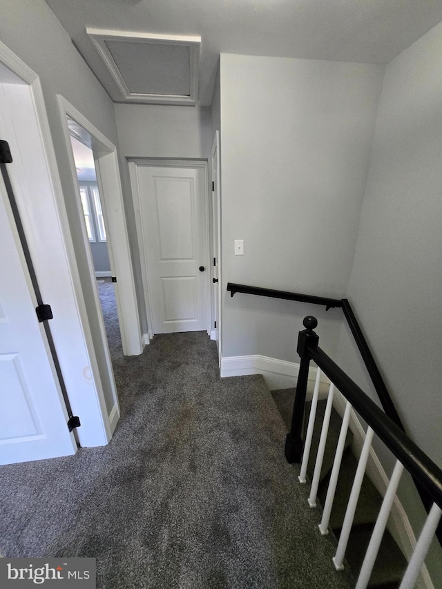 940 E 41st St, Baltimore, MD 21218 - stairs featuring carpet flooring and baseboards