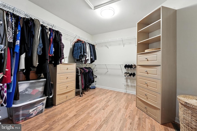 28 White Birch Blvd, Bear, DE 19701 - walk in closet with light wood-type flooring
