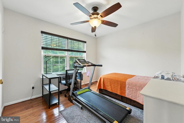 28 White Birch Blvd, Bear, DE 19701 - workout room with wood finished floors and ceiling fan