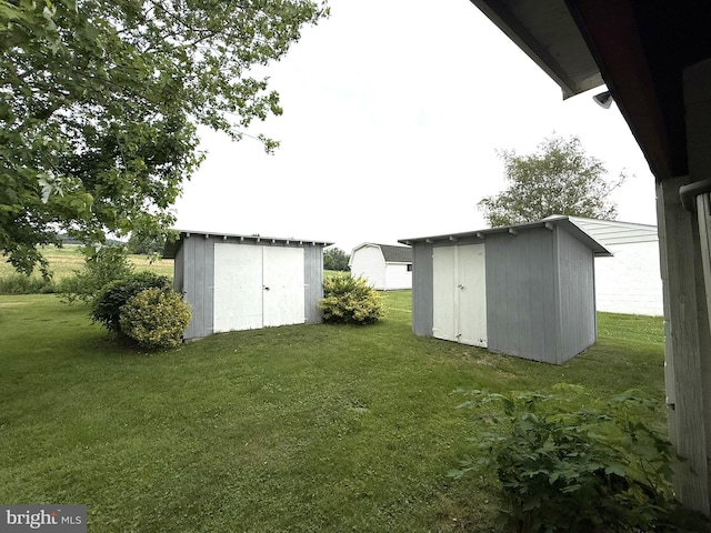 619 Penn Dr, Tamaqua, PA 18252 - view of grassy yard with a storage unit
