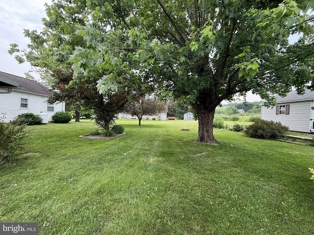 619 Penn Dr, Tamaqua, PA 18252 - view of green lawn