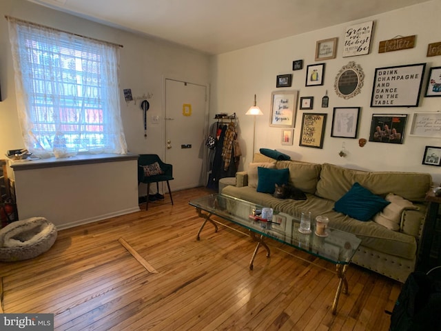 316-322 W Wildey St, Philadelphia, PA 19123 - living room featuring hardwood / wood-style floors