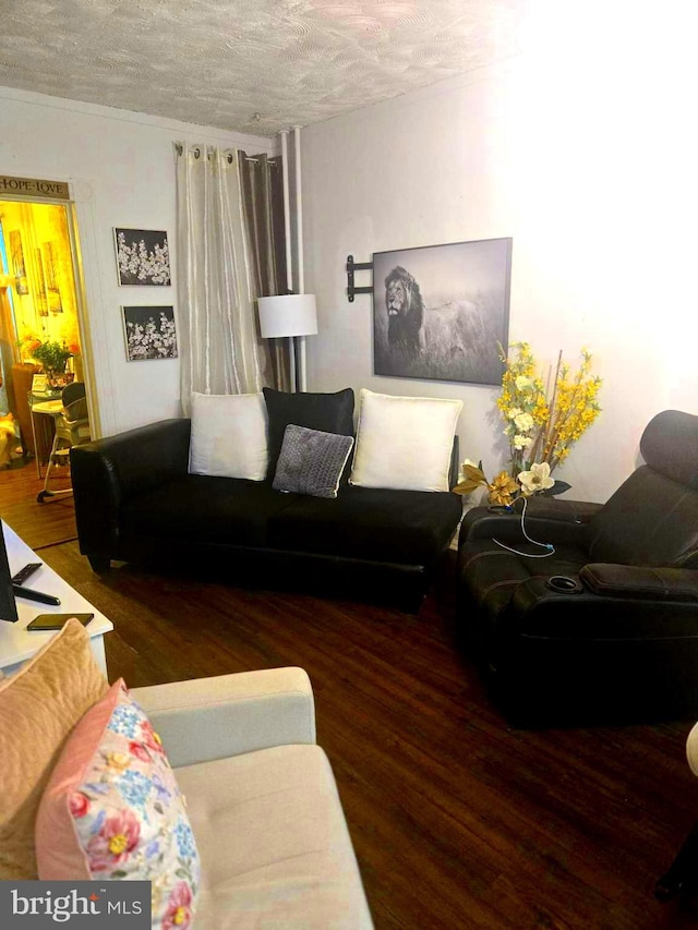 458 W Oley St, Reading, PA 19601 - living room with wood finished floors and a textured ceiling