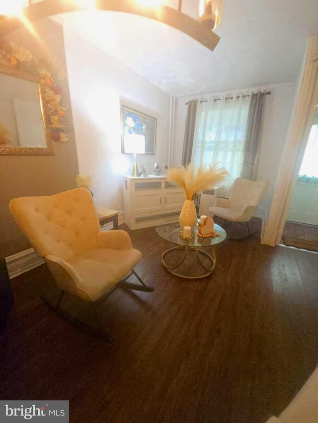 458 W Oley St, Reading, PA 19601 - living area with wood finished floors and baseboards
