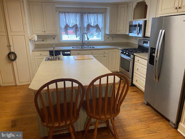 21 Willow St, Milroy, PA 17063 - kitchen featuring appliances with stainless steel finishes, light wood-style flooring, and light countertops