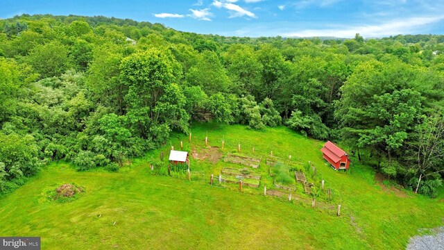 132 Sycamore Dr, Palmerton, PA 18071 - aerial view of a heavily wooded area