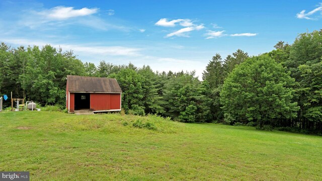 132 Sycamore Dr, Palmerton, PA 18071 - view of grassy yard featuring a shed and a forest view