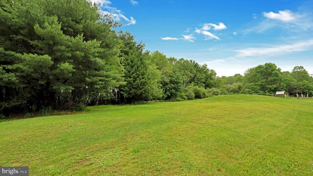 132 Sycamore Dr, Palmerton, PA 18071 - view of green lawn
