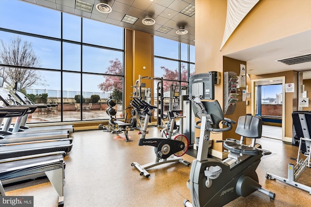 2451 Midtown Ave Unit 1323, Alexandria, VA 22303 - workout area with a towering ceiling