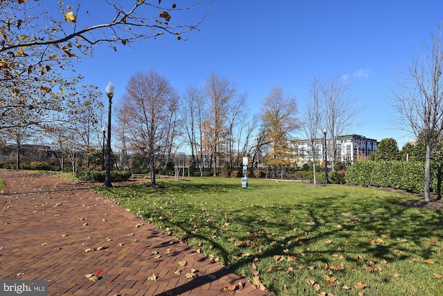 2451 Midtown Ave Unit 1323, Alexandria, VA 22303 - view of grassy yard