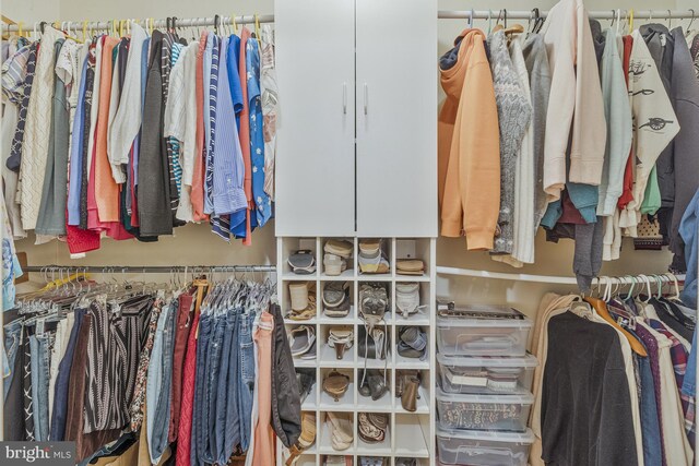 1202 Forestville Dr, Great Falls, VA 22066 - view of spacious closet