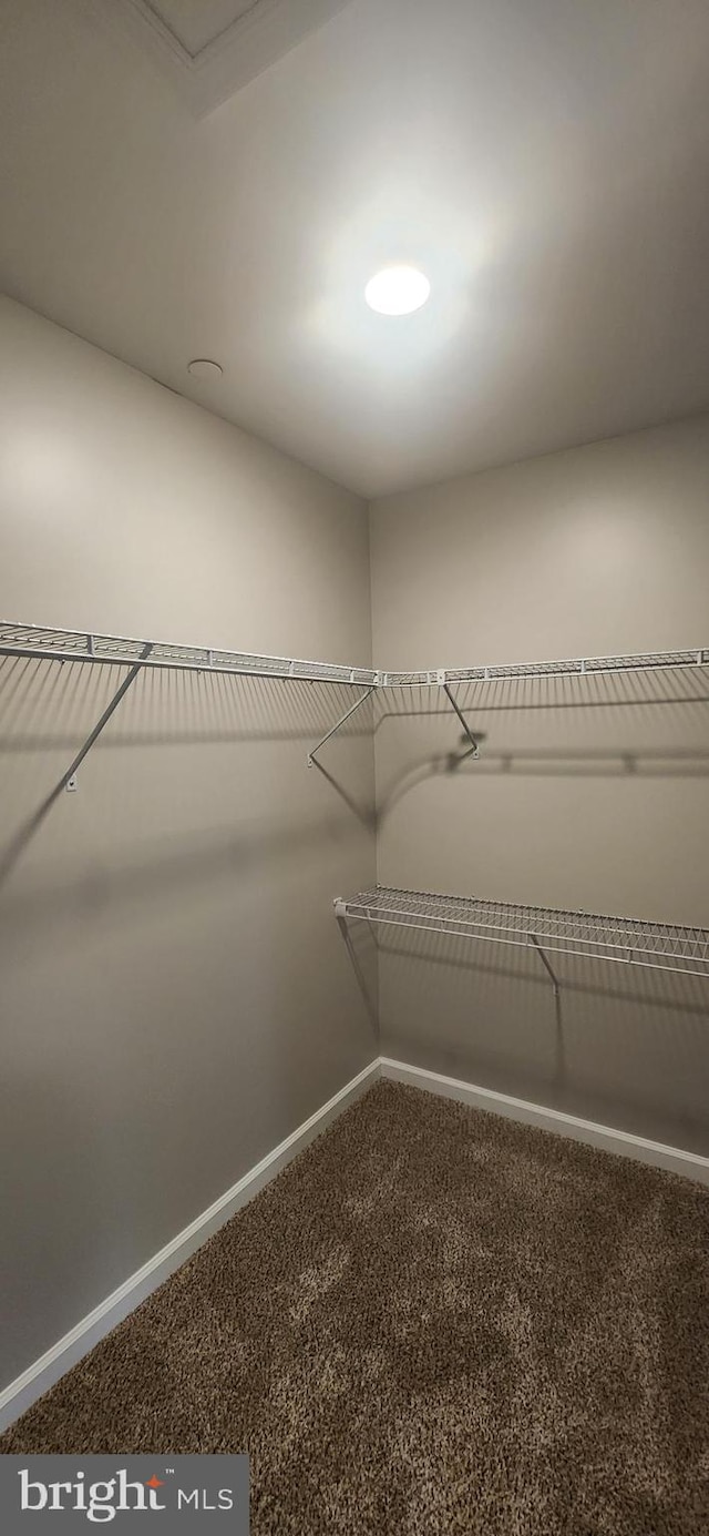 54 Petersburg Ln, Duncannon, PA 17020 - walk in closet featuring carpet