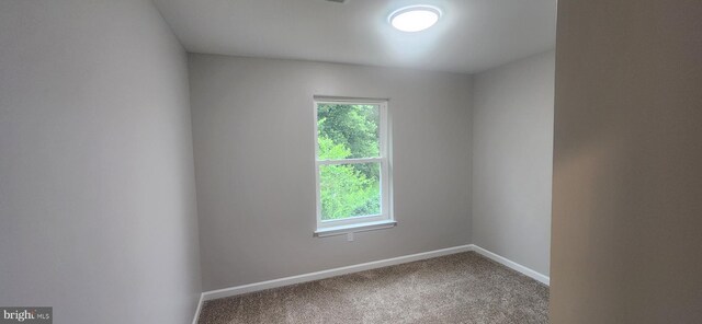 54 Petersburg Ln, Duncannon, PA 17020 - spare room with carpet flooring and baseboards