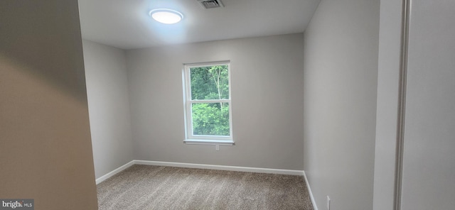 54 Petersburg Ln, Duncannon, PA 17020 - carpeted spare room with plenty of natural light