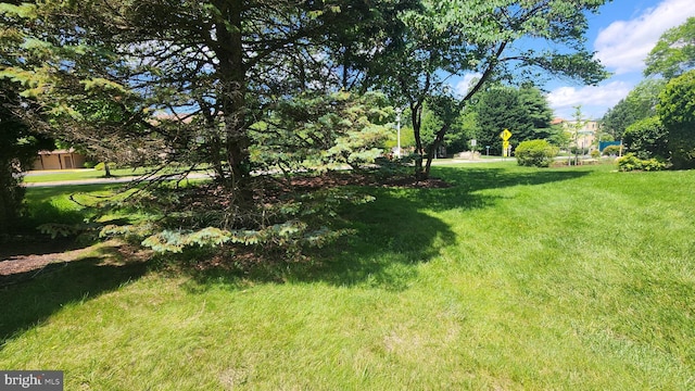 3695 S Leisure World Blvd Unit 14-A, Silver Spring, MD 20906 - view of grassy yard